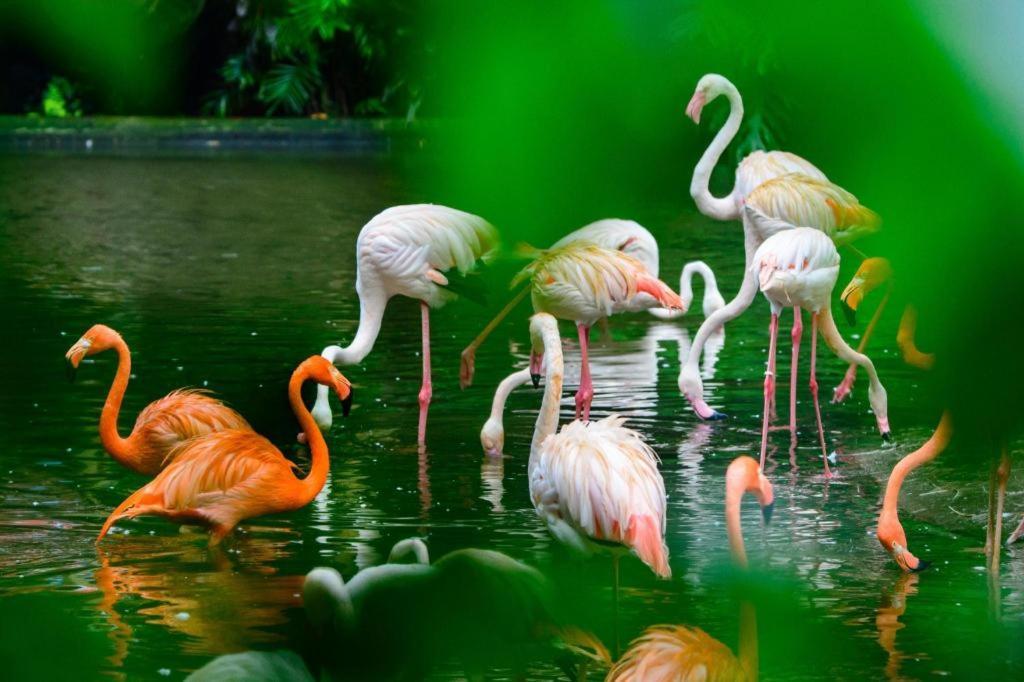 גואנגג'ואו Lake Piedmont International Hotel מראה חיצוני תמונה